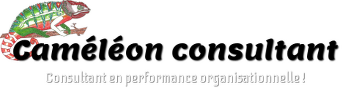 Cam&eacute;l&eacute;on Consultant, Consultant en performance organisationnelle